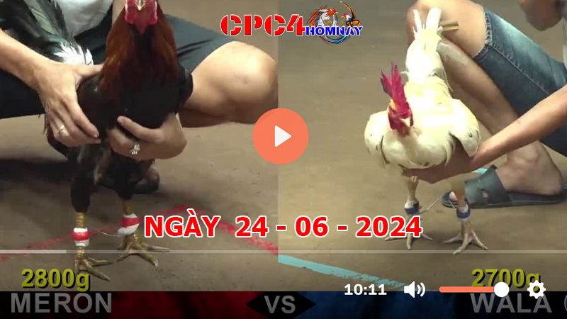 Đá gà CPC4 ngày 24-06-2024