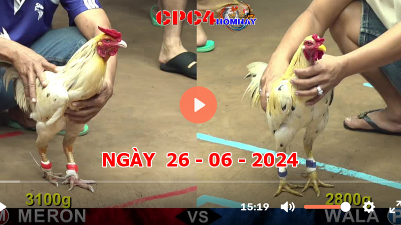 Đá gà CPC4 ngày 26-06-2024