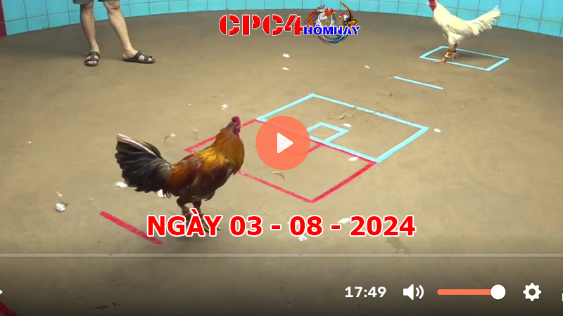 Đá gà CPC4 ngày 03-8-2024